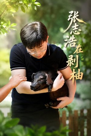 张志浩在剥柚 (2022) poster