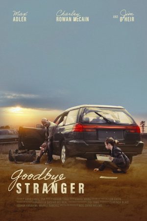 Goodbye Stranger (2025) poster