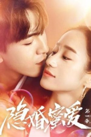 隐婚蜜爱 (2021) poster