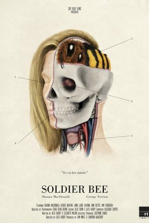 Soldier Bee (2017) poster