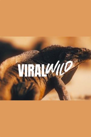 Viralwild (2020) poster