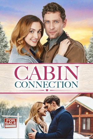 Cabin Connection (2022) poster