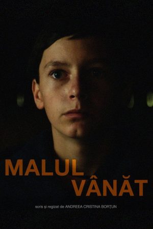 A River’s Gaze (2026) poster