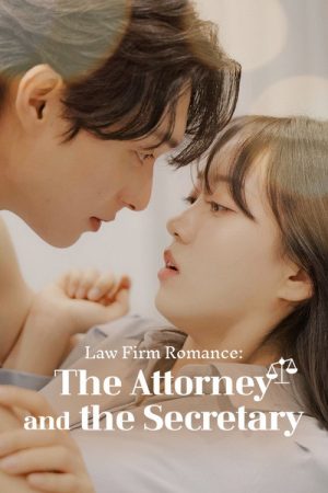 Law Firm Romance: The Attorney and the Secretary (2025) poster