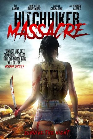 Hitchhiker Massacre (2017) poster