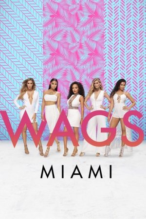 WAGS Miami (2016) poster