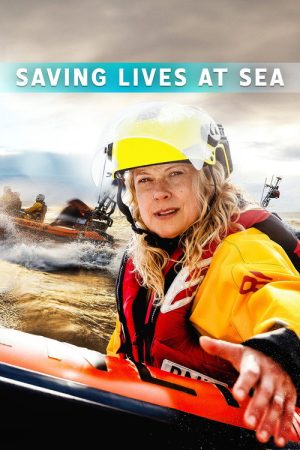 Saving Lives at Sea (2016) poster