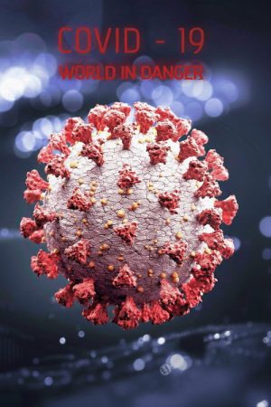 Covid 19: The World in Danger (2020) poster