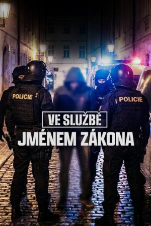 Ve službě: Jménem zákona (2026) poster