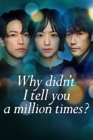 Why Didn’t I Tell You a Million Times? (2023) poster