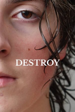 Destroy (2022) poster