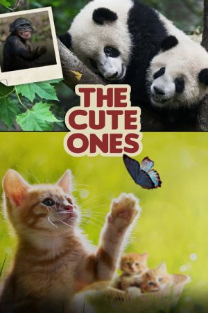 The Cute Ones (2019) poster
