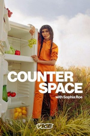Counter Space with Sophia Roe (2020) poster