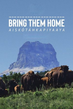 Bring Them Home (2024) poster