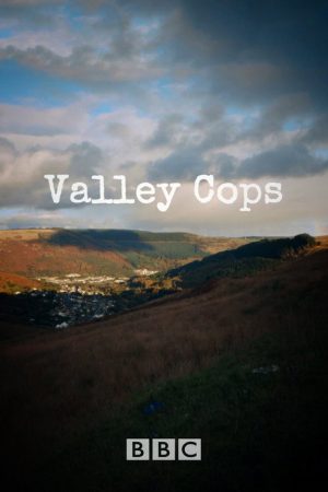 Valley Cops (2017) poster
