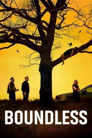 Boundless (2024) poster