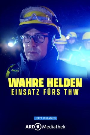 Wahre Helden poster