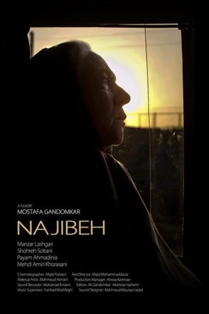 Najibeh (2020) poster