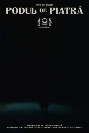 The Stone Bridge (2021) poster