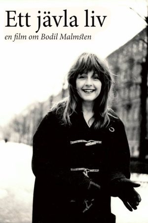 Ett jävla liv poster