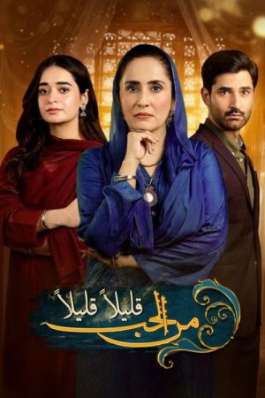 Bechari Qudsia (2021) poster