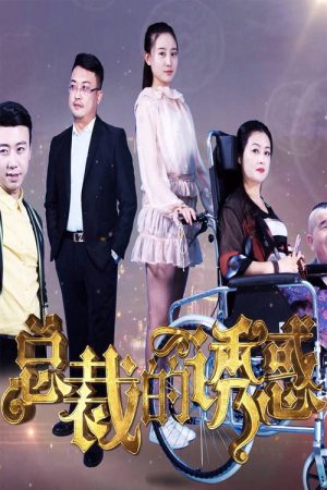 总裁的诱惑 (2020) poster