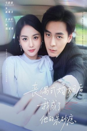丧偶式婚姻后我成了他的朱砂痣 (2025) poster