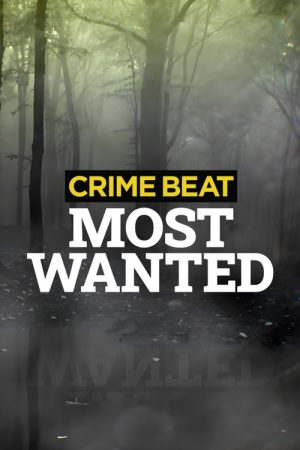 Crime Beat: Most Wanted (2023) poster