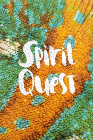 Spirit Quest (2016) poster