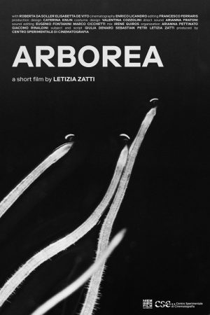 Arborea (2026) poster