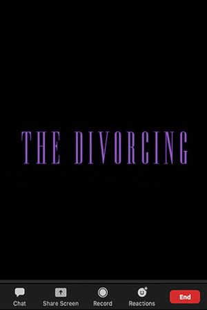 The Divorcing (2020) poster