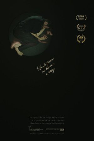 Los pájaros no tienen vértigo (2017) poster
