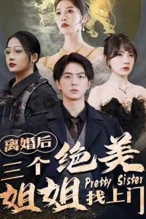离婚后三个绝美姐姐找上门 (2023) poster