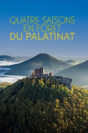 Der Pfälzerwald rund ums Jahr (2020) poster