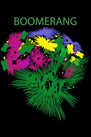 Boomerang (2024) poster