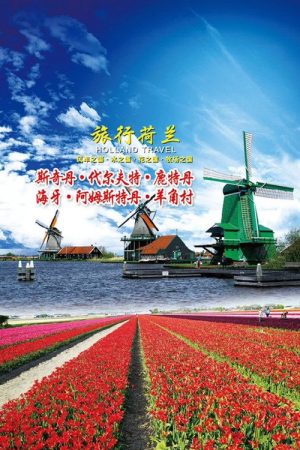 旅行荷兰 (2018) poster