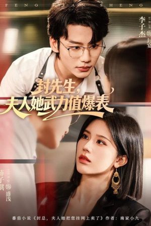 封先生，夫人她武力值爆表 (2026) poster