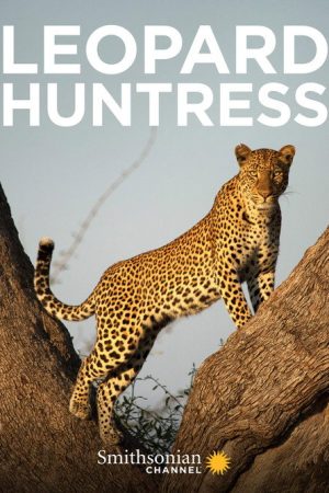 Leopard Huntress (2018) poster