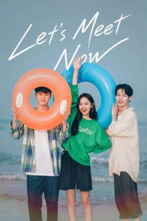 Let’s Meet Now (2022) poster