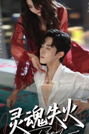 灵魂失火 (2025) poster