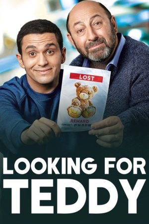 Looking for Teddy (2018) poster