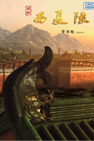 揭秘西夏陵 (2018) poster