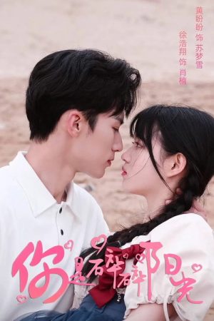 你是碎碎阳光 (2025) poster