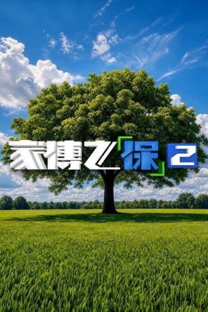 家傳之「保」 (2025) poster
