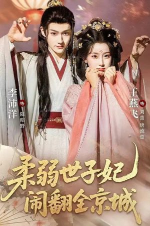 柔弱世子妃闹翻全京城 (2025) poster