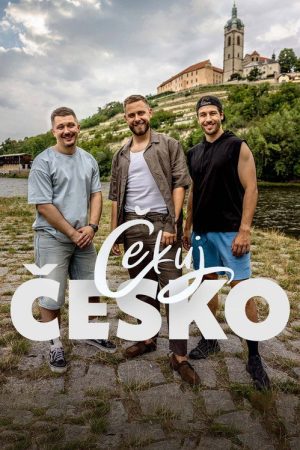 Čekuj Česko (2026) poster