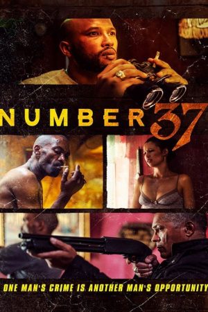 Number 37 (2018) poster