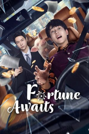 Fortune Awaits (2025) poster