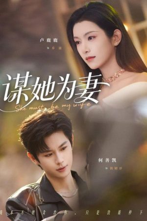 谋她为妻 (2026) poster