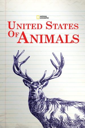 United States of Animals (2016) poster